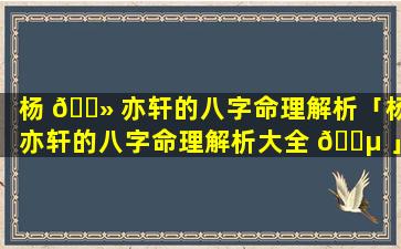 杨 🌻 亦轩的八字命理解析「杨亦轩的八字命理解析大全 🐵 」